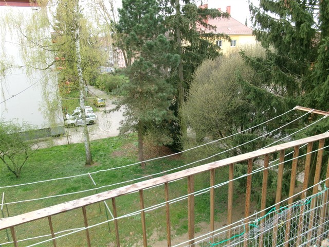 výhled z balkonu [33/36]