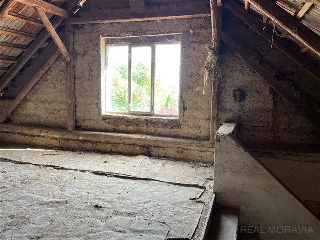 foto 8 [17/20]