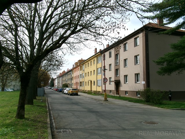 ulice před domem [18/36]